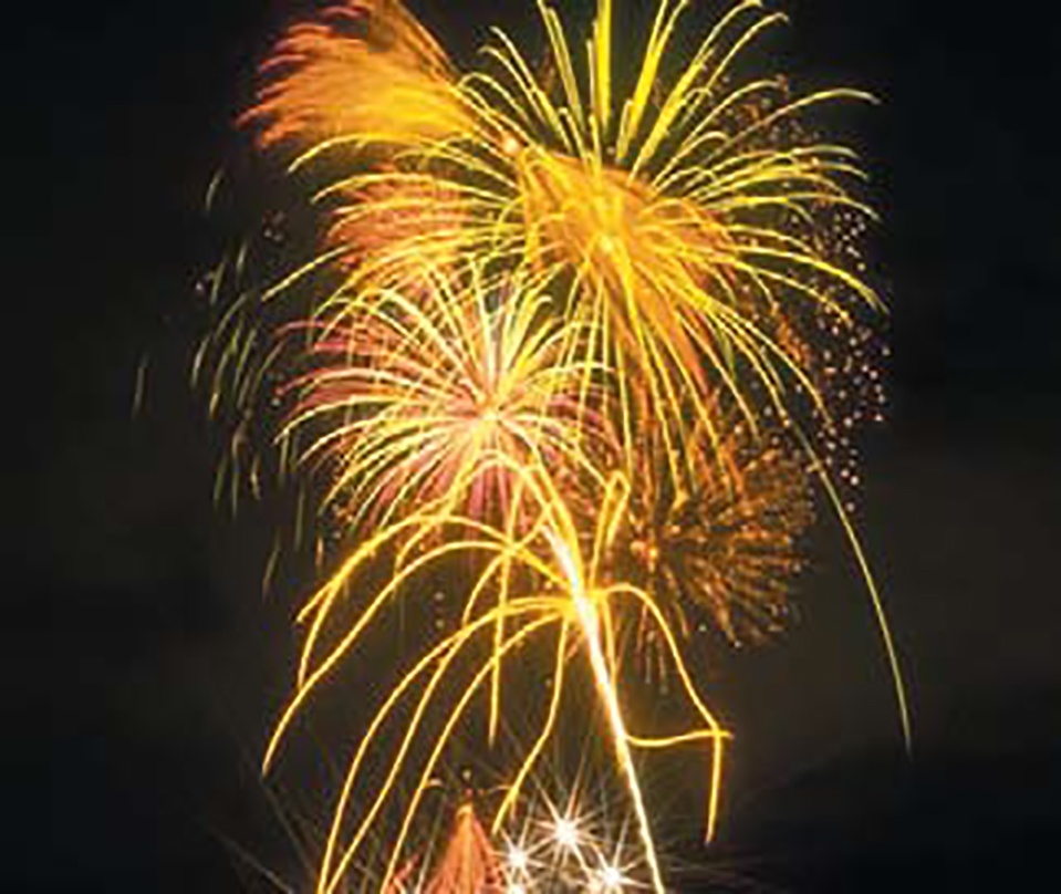 Fireworks exploding in the nighttime sky. 